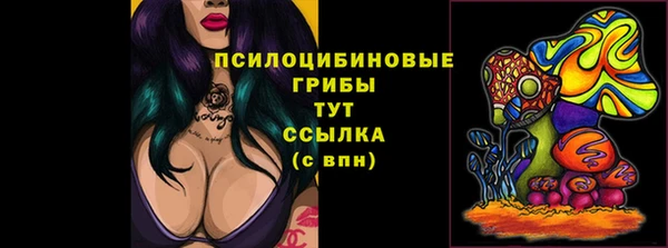 прущий лед Алексеевка