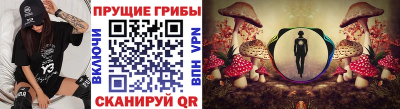 Псилоцибиновые грибы Magic Shrooms  купить наркотики цена  Дербент 