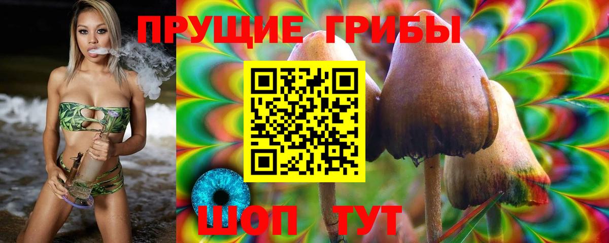 Псилоцибиновые грибы GOLDEN TEACHER  Вход с VPN  Дербент 